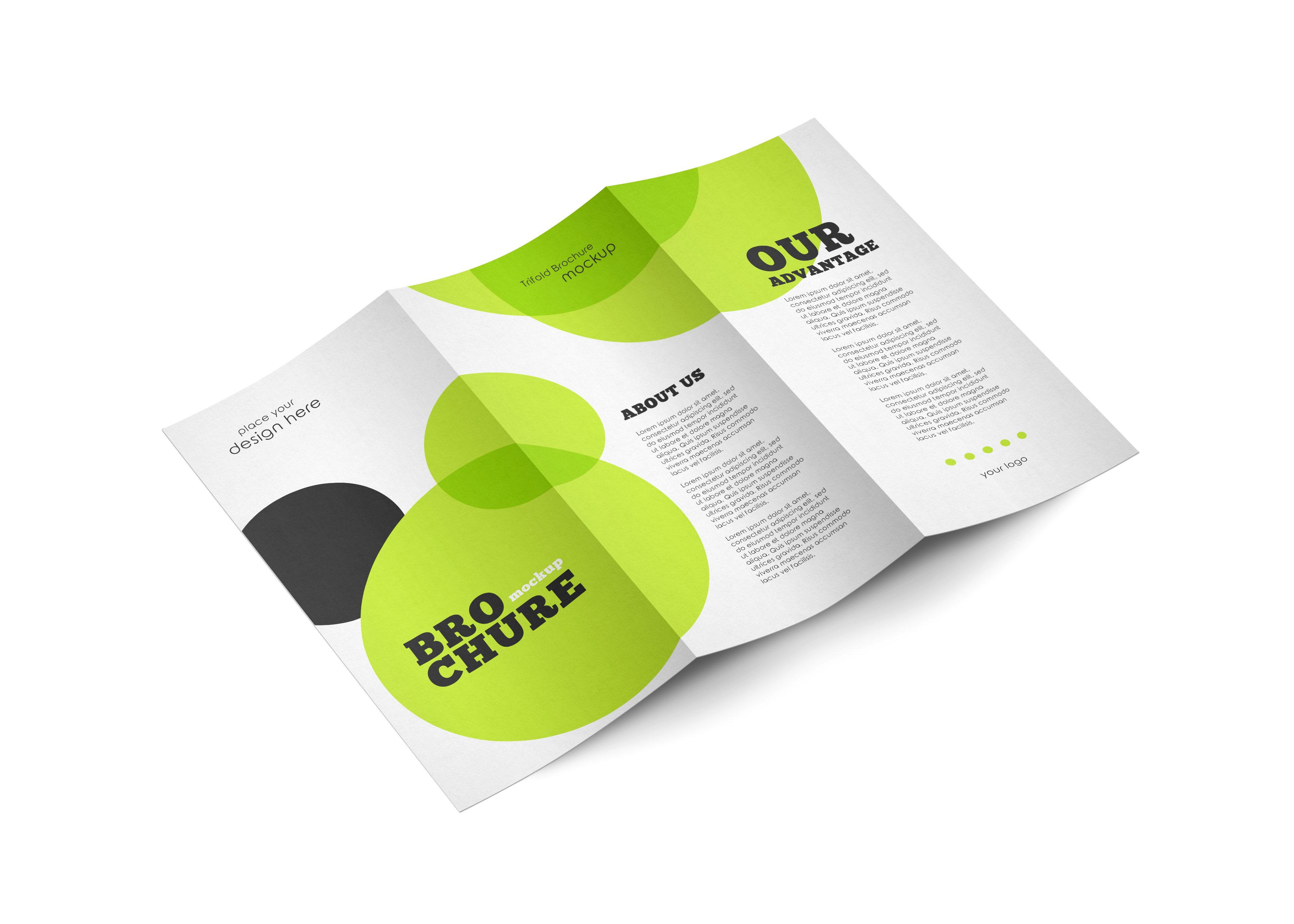 Mock trifold_brochure